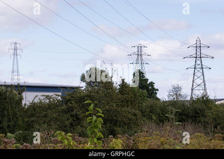 Leybourne Lakes Country Park, un ex sabbia e ghiaia che lavorano in Kent, Inghilterra, Regno Unito ed ora una rigenerata sito brownfield Foto Stock