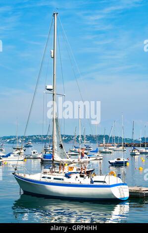 Yacht ormeggiati a Brixham in Devon, Regno Unito Foto Stock