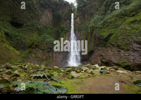 Una drammatica la cascata nel cloud forest di Bajos Del Toro Foto Stock