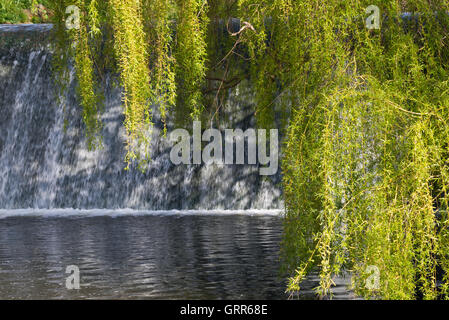 Uno stramazzo sul fiume Sid in "l'Byes Riverside Park' in Sidmouth su Devon la Jurassic Coast Foto Stock