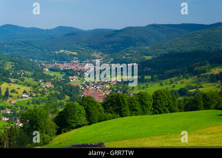 Francia, Alto Reno (68), Parco Naturale Regionale dei Ballons des Vosges, valle Munster, vista dal villaggio Soultzeren Foto Stock