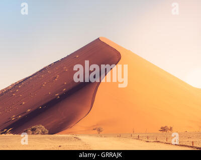 Dune 45 in Sossusvlei area del deserto del Namib in Namibia. Foto Stock