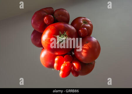 Freschi pomodori raccolti a sedersi su uno specchio Foto Stock