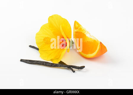 Hibiscus, arancione e baccelli di vaniglia su sfondo bianco Foto Stock