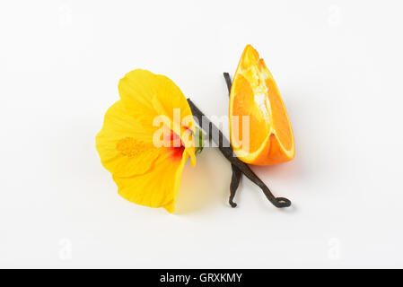 Hibiscus, arancione e baccelli di vaniglia su sfondo bianco Foto Stock
