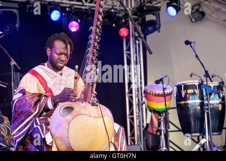 Diabel Cissokho effettuando al Womad Festival, Charlton Park di Malmesbury, Wiltshire, Inghilterra, luglio 30, 2016 Foto Stock