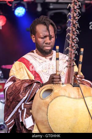 Diabel Cissokho effettuando al Womad Festival, Charlton Park di Malmesbury, Wiltshire, Inghilterra, luglio 30, 2016 Foto Stock