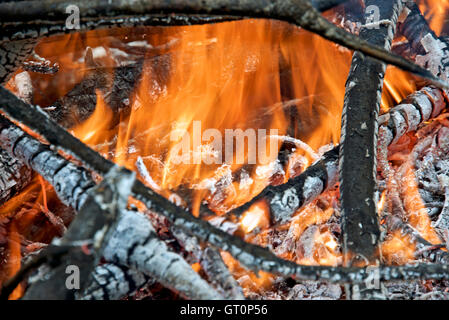 Close-up foto del falò all'aperto. Cenere fumante di un falò. Foto Stock