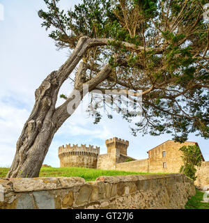 Albero di pino a Populonia villaggio medievale landmark, le mura della città e fort torre sul background. Toscana, Italia. Foto Stock