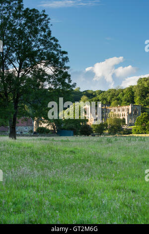 Pittoresche e tranquille rovine illuminate dal sole della splendida storica Abbazia medievale di Rievaulx (vista serale estiva dai campi di valle) - Nord Yorkshire, Inghilterra, Regno Unito. Foto Stock