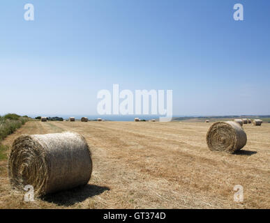 Balle di fieno nel campo off Beachy Head modo, Eastbourne, East Sussex affacciato sul Canale in lingua inglese Foto Stock