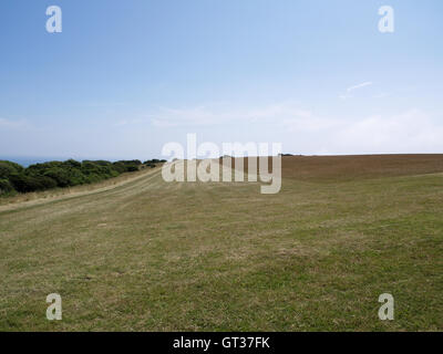 Campo rasata di erba off Beachy Head modo, Eastbourne, East Sussex affacciato sul Canale in lingua inglese Foto Stock