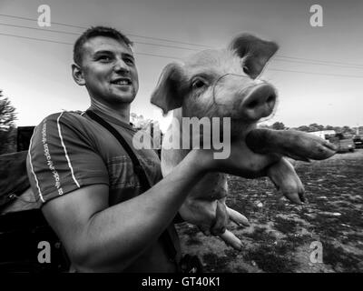 Giovane uomo mostra un maiale per gli acquirenti su animali domestici mercato nella città di Kosov, Ivano-Frankivsk, Oblast di Ucraina Foto Stock