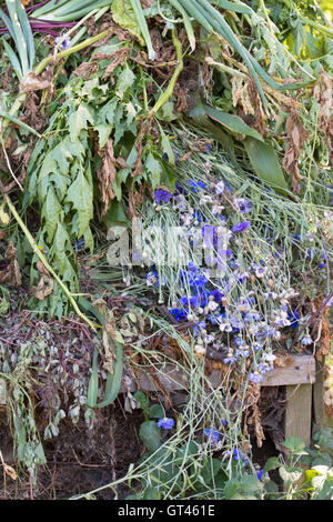 Traboccante di rifiuti da giardino su un mucchio di composto Foto Stock