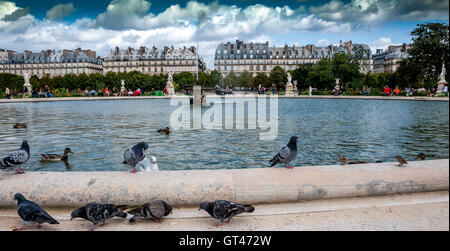 Paris 1e arr. Jardin des Tuileries, il Giardino delle Tuileries Foto Stock