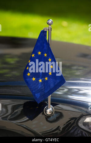 Tallinn, Estonia, 9 settembre 2016. Illustrazione di Euopean bandiera estone durante il primo ministro Taavi Roivas e presidente in carica del Consiglio europeo Donald Tusk il loro incontro a Steenbok House. Gli argomenti principali del loro incontro sarà il futuro dell'Unione europea dopo la Brexit nonché la politica estone situazione per quanto riguarda le elezioni presidenziali. Estonia ospiterà la Presidenza del Consiglio dell'Unione europea nella seconda metà del 2017, questo per la prima volta. Credito: Nicolas/Bouvy Alamy Live News Foto Stock