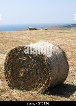 Balle di fieno nel campo off Beachy Head modo, Eastbourne, East Sussex affacciato sul Canale in lingua inglese Foto Stock