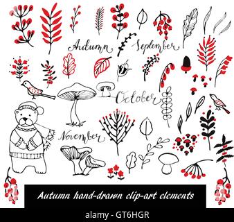 Disegnato a mano elementi floreali impostato Illustrazione Vettoriale