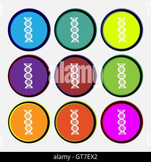 Icona di DNA di segno. Nove multi colore pulsanti rotondi. Vettore Illustrazione Vettoriale