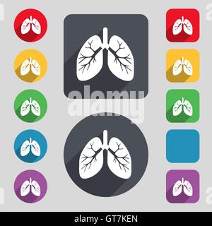 Icona dei polmoni segno. Una serie di dodici tasti colorati e una lunga ombra. Design piatto. Vettore Illustrazione Vettoriale