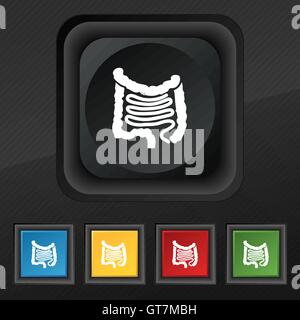 Intestini icona simbolo. Set di cinque colorate, eleganti pulsanti sulla texture nera per il vostro design. Vettore Illustrazione Vettoriale