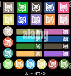 Intestini icona segno. Set da venti sette multicolore pulsanti piana. Vettore Illustrazione Vettoriale