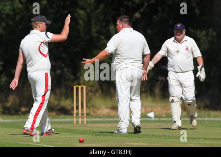 Hornchurch giocatori festeggiare il paletto di M Tarr - Gidea Park & Romford CC vs Hornchurch CC - Essex Cricket League a Gallow Corner - 31/08/13 Foto Stock