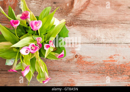 Riprese aeree del fresco attraente Calla Lilies sulla parte superiore di una tavola di legno con copia spazio sul lato destro. Foto Stock