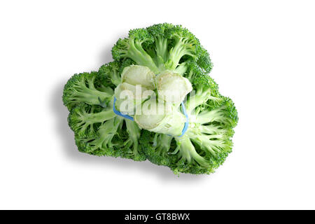 Mazzetto di broccoli freschi vista dal basso che illustra la struttura dei rami e stocchi commestibili su uno sfondo bianco Foto Stock