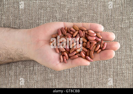 L'uomo la visualizzazione di una manciata di essiccato intero fagioli rossi ricchi di proteine, di fibra alimentare e di grassi liberi su un beige backgr tessili Foto Stock