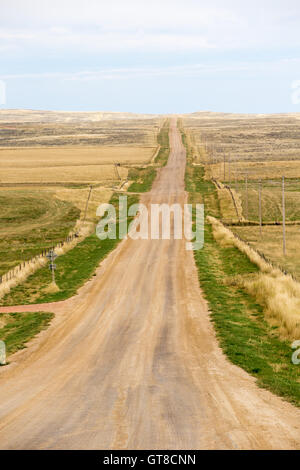 Lungo rettilineo deserta strada sterrata in Carolina del Nord America, scomparendo in distanza di laminazione dolcemente collinare ondulato te Foto Stock