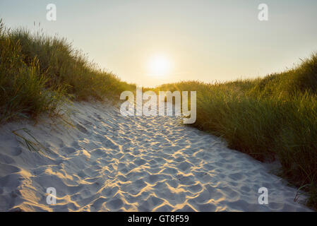 Sandy percorso attraverso le dune al tramonto sulla spiaggia, Bunken, Aalbaek Bay, Mar Baltico, a nord dello Jutland, Danimarca Foto Stock