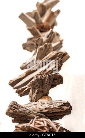 Appendere driftwood isolate su sfondo bianco. Primo piano Foto Stock