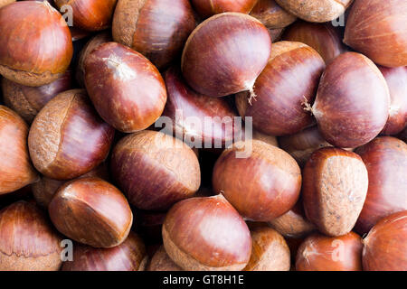 Vista ravvicinata del round materie le castagne per essere cotti per uno snack Foto Stock