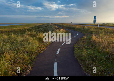 Bikeway avvolgimento sul promontorio al mattino, il tuo parco nazionale, Agger, Nord dello Jutland, Danimarca Foto Stock