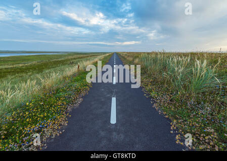 Bikeway sul promontorio al mattino, il tuo parco nazionale, Agger, Nord dello Jutland, Danimarca Foto Stock