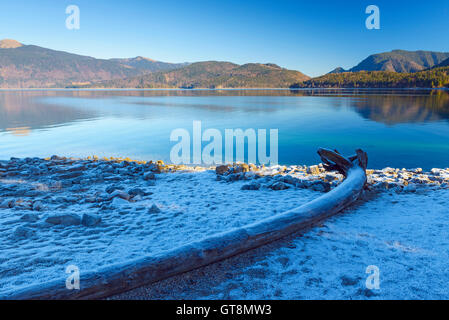 Il Lago Walchensee con trasformata per forte gradiente brina sulla riva, Kochel am See, Alta Baviera, Baviera, Germania, Europa Foto Stock