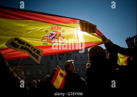 In questo file di immagine presa su 06-12-2013 unionisti manifestanti hanno marciato per le strade di Barcellona con bandiere spagnole in favore dell unità della Spagna in occasione della Giornata della costituzione spagnola. Foto Stock