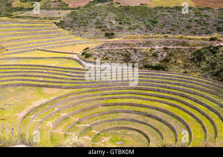 Antica circolare Inca terrazzamenti agricoli a Moray usato per studiare gli effetti delle diverse condizioni climatiche sulle colture Foto Stock