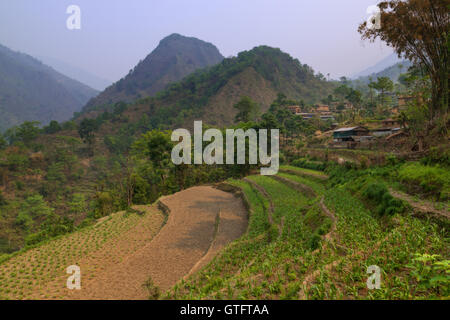 Bahundanda villaggio nella regione di Annapurna, Nepal Foto Stock