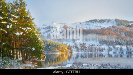 Loch Pityoulish nei Cairngorms. Nevoso inverno Lago, preso in Scozia con bella luce su alberi di pino e montagne. Foto Stock