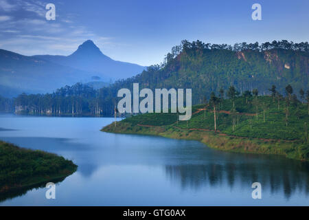 Adam's Peak (Sri Pada) in Sri Lanka presso sunrise Foto Stock