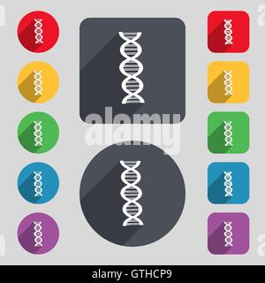 Icona di DNA di segno. Una serie di dodici tasti colorati e una lunga ombra. Design piatto. Vettore Illustrazione Vettoriale