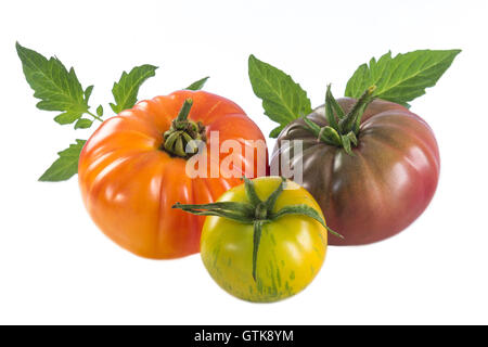 Un assortimento di vecchie varietà di pomodori isolato su bianco Foto Stock