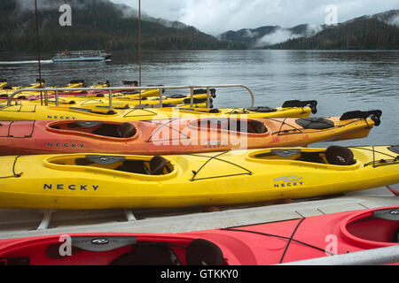 Kayak da mare accanto alla nave da crociera Safari Adoperano vicino a Reid ghiacciaio nel Parco Nazionale di Glacier Bay, Alaska, Stati Uniti d'America. Tutti i nostri viaggi a noi Foto Stock