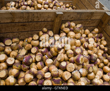 Gli svedesi in un agriturismo Foto Stock