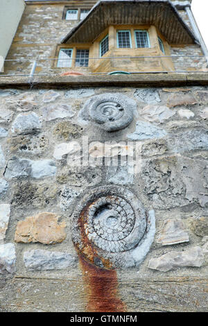 Ammonita impostato nel muro di pietra di una storica casa sul lungomare di Lyme Regis, Dorset, Regno Unito Inghilterra KATHY DEWITT Foto Stock