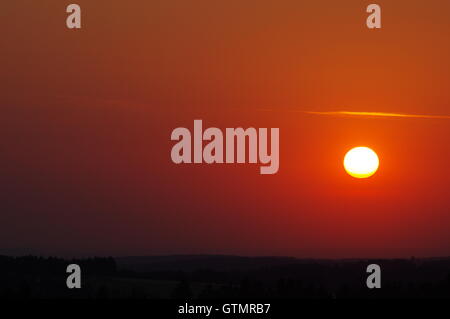 Rosso tramonto del treetop degli alberi della foresta nera in Germania Foto Stock