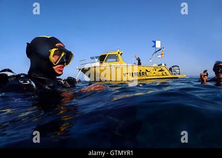 Vellmari Dive Center, Formentera. Immersioni subacquee nella zona plantare, Formentera, isole Baleari, Mare mediterraneo, Spagna. L'arco offre un Foto Stock