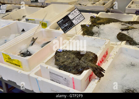 Pesce per la vendita in Makro cash and carry store, Algarve, Portogallo meridionale Foto Stock